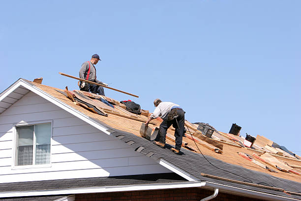 Best Sheet Metal Roofing  in Willows, CA