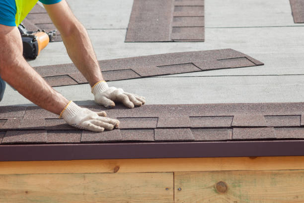 Best Siding  in Willows, CA